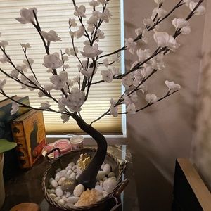 Lighted Bonsai Tree
